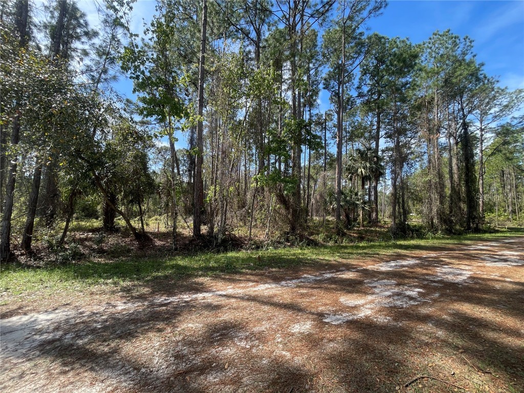 107 Rosewood Street Georgetown FL 32139 FC308372 image3