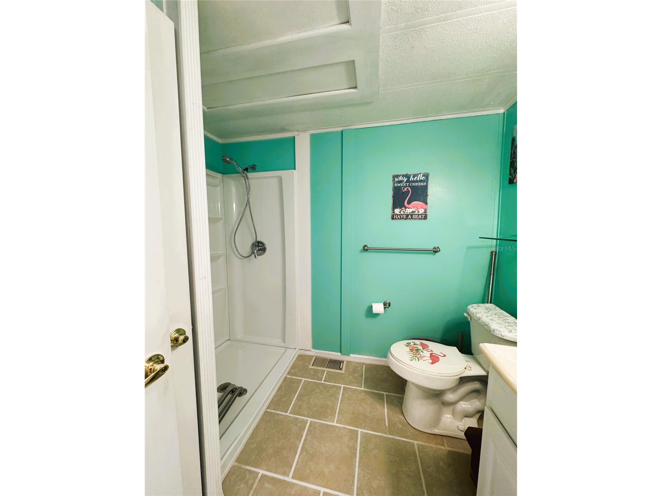 107 Royal Palm Drive Leesburg FL 34748 R4910551 image31