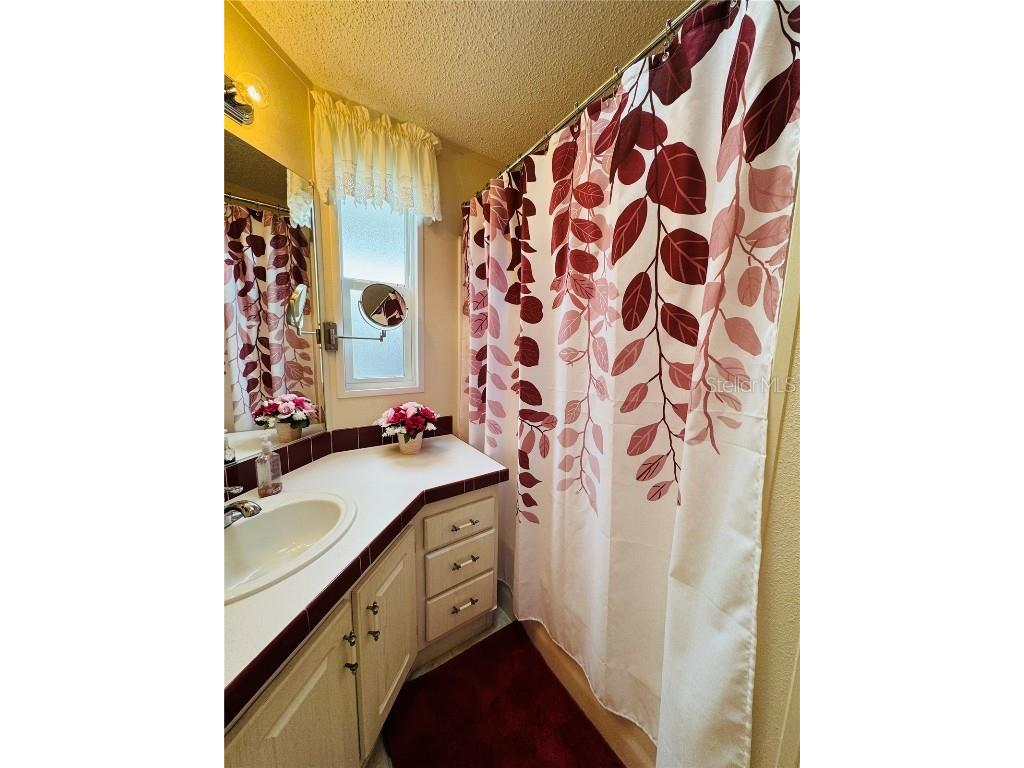 107 Royal Troon Loop Davenport FL 33837 O6304558 image22