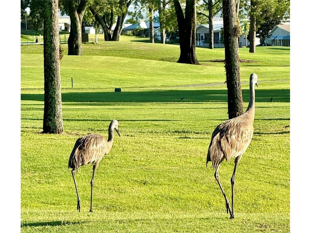 107 Royal Troon Loop Davenport FL 33837 O6304558 image43