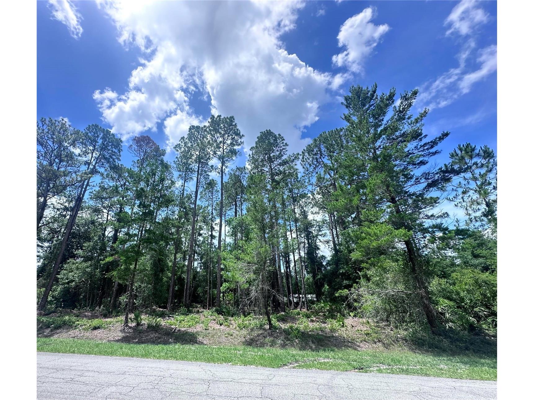 107 S Georgetown Point Road Georgetown FL 32139 O6380370 image1