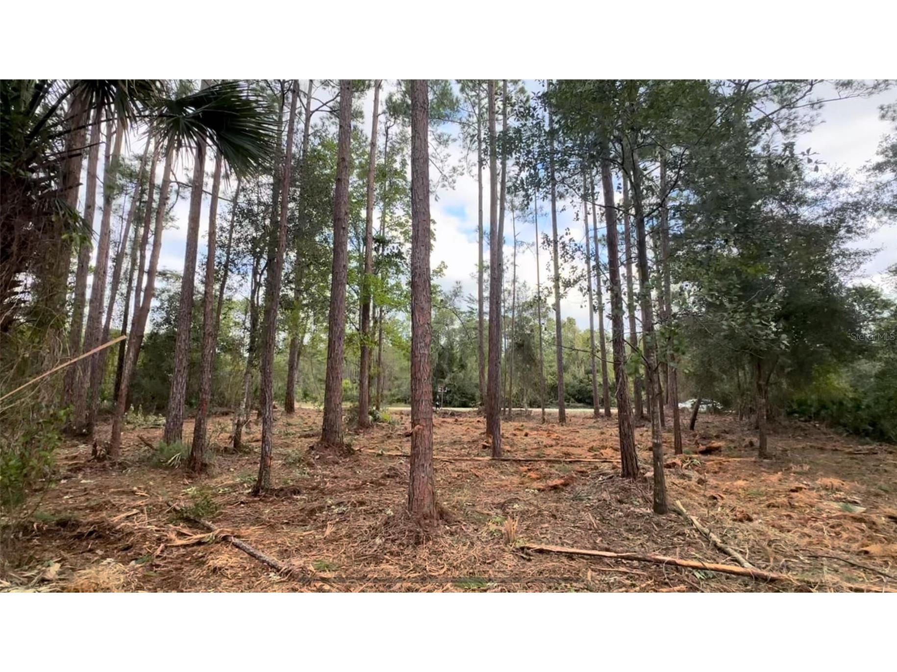 107 S Georgetown Point Road Georgetown FL 32139 O6380370 image5