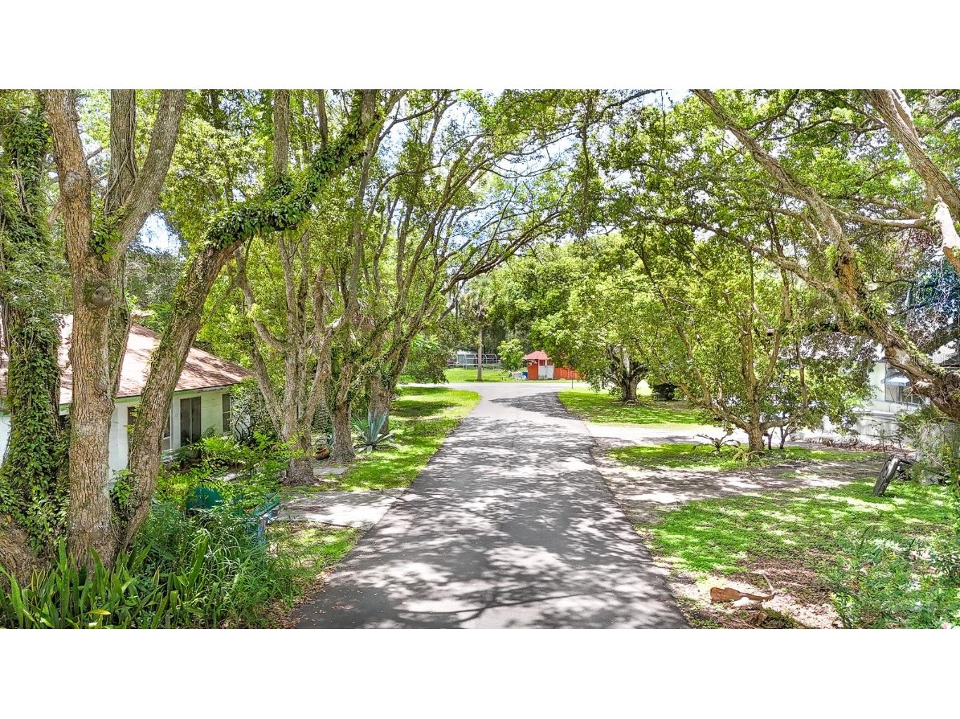 107 S Iona Drive #B Fruitland Park FL 34731 G5100447 image21