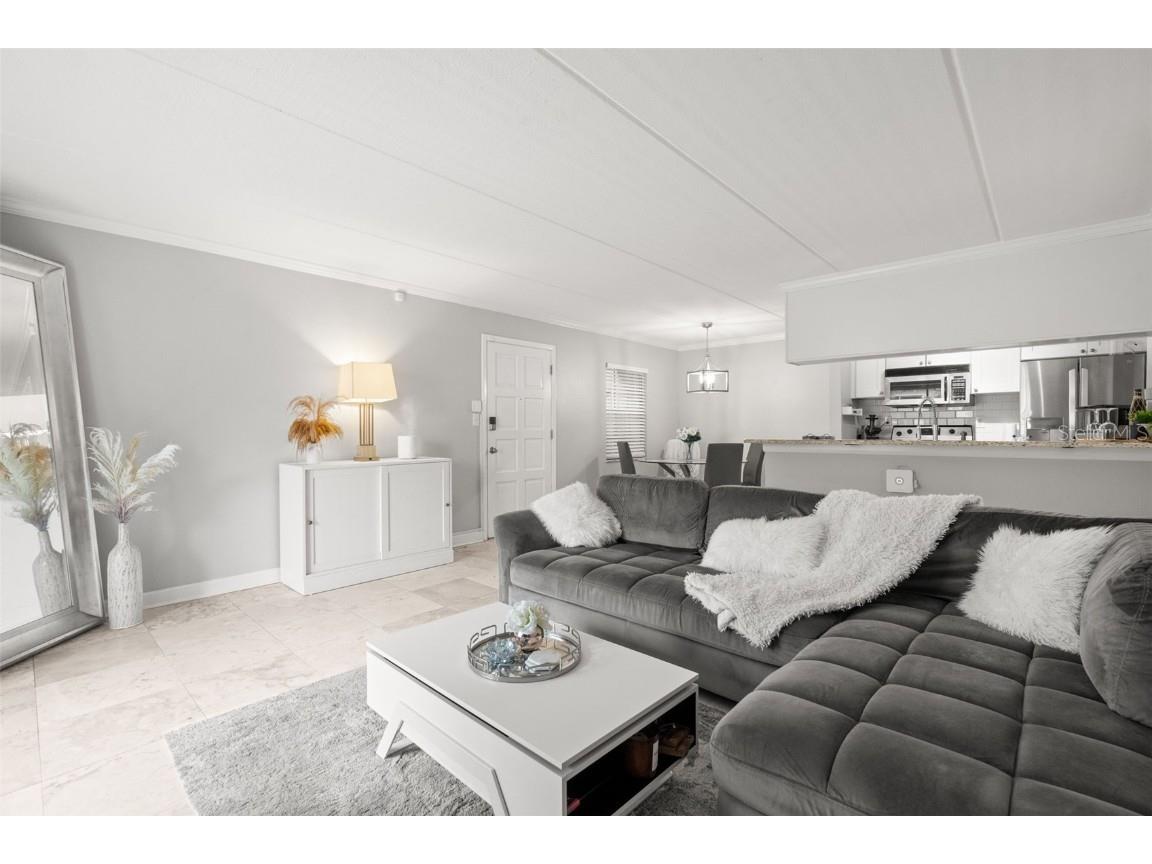 107 S Obrien Street #217 Tampa FL 33609 TB8355210 image19