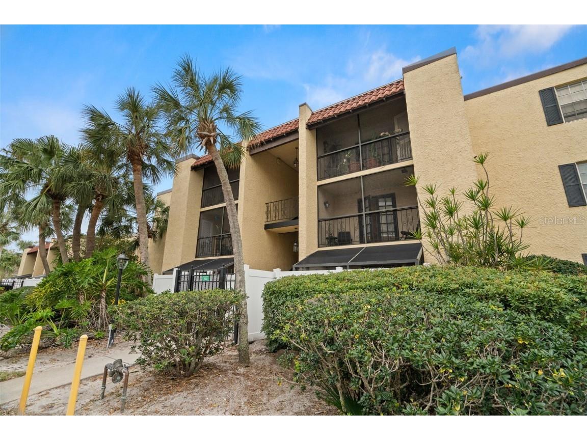 107 S Obrien Street #217 Tampa FL 33609 TB8355210 image39