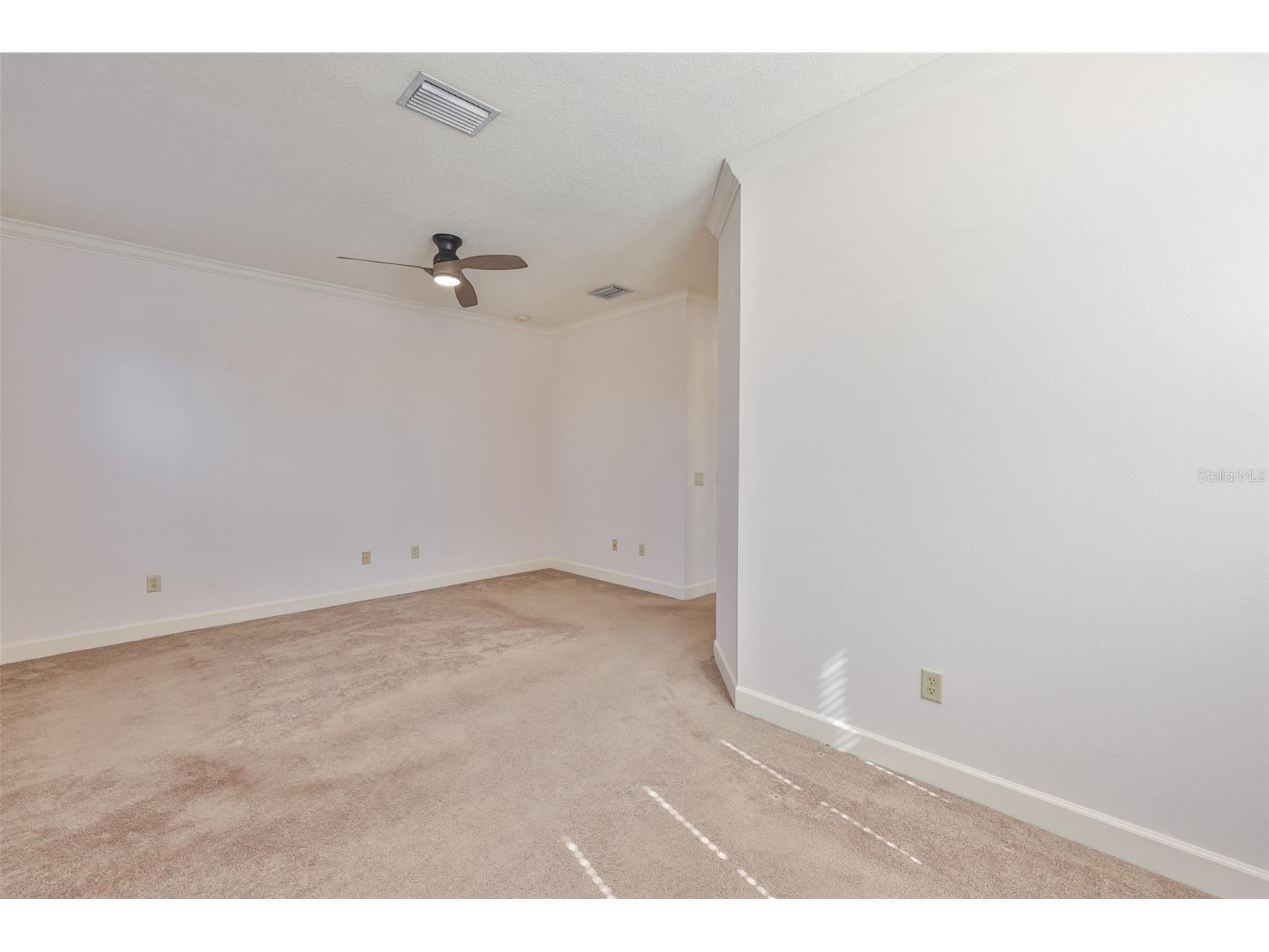 107 S Packwood Avenue #C Tampa FL 33606 TB8472783 image21