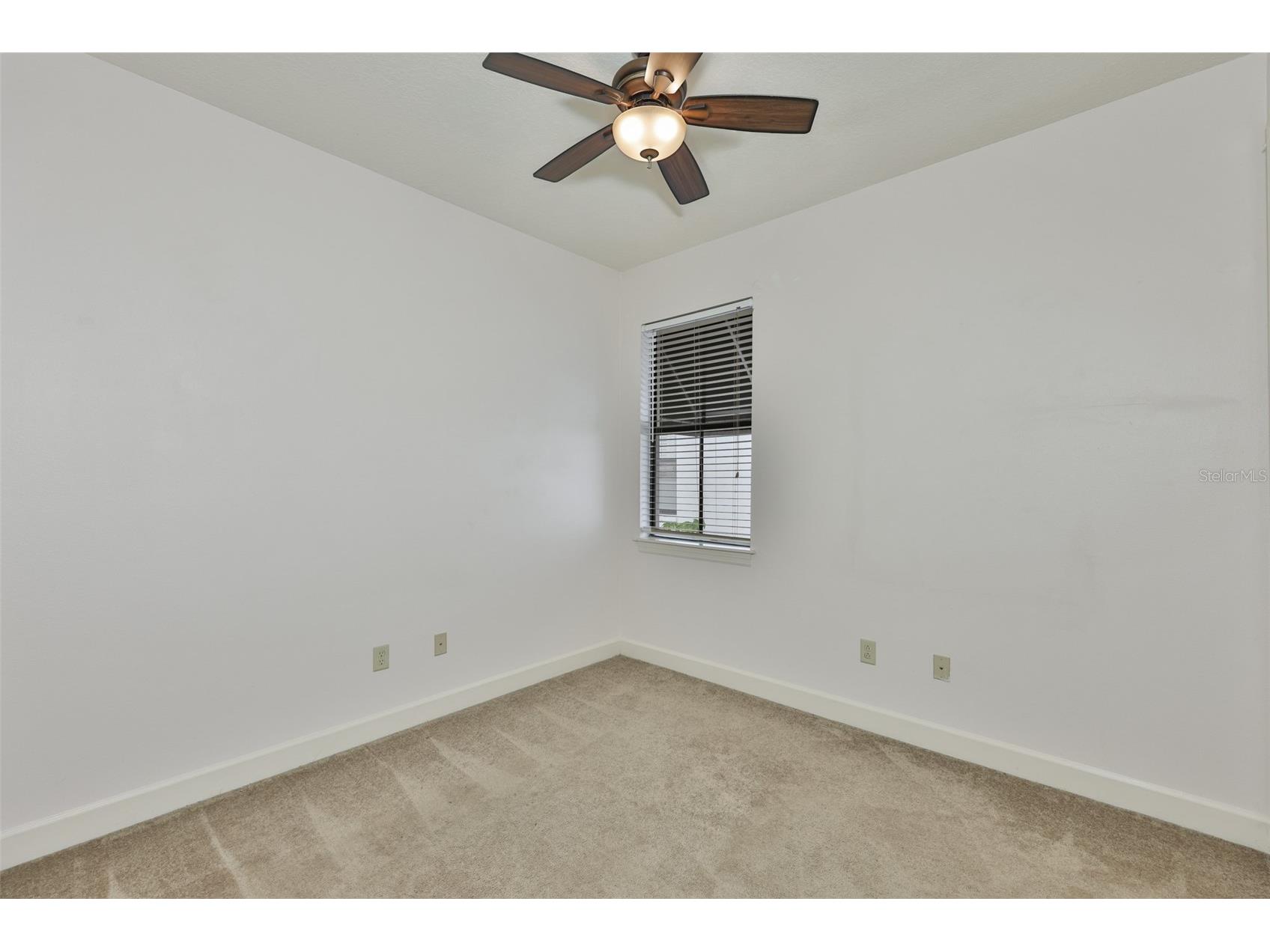107 S Packwood Avenue #C Tampa FL 33606 TB8472783 image25