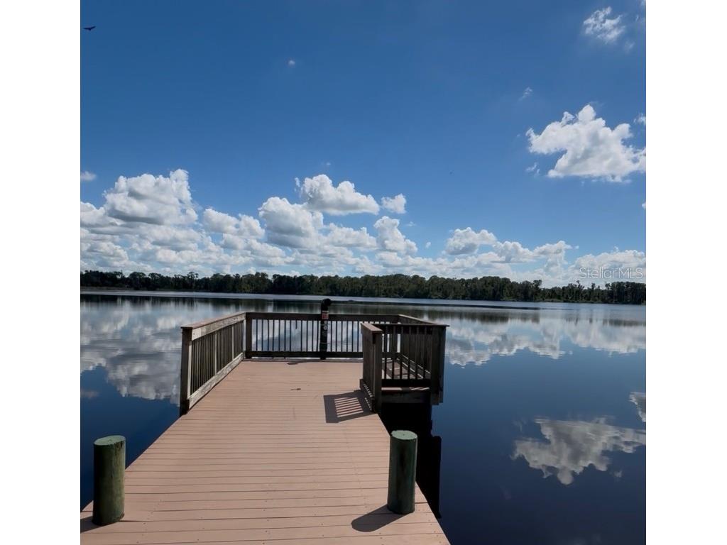 107 Seville Court N Plant City FL 33566 TB8431675 image52