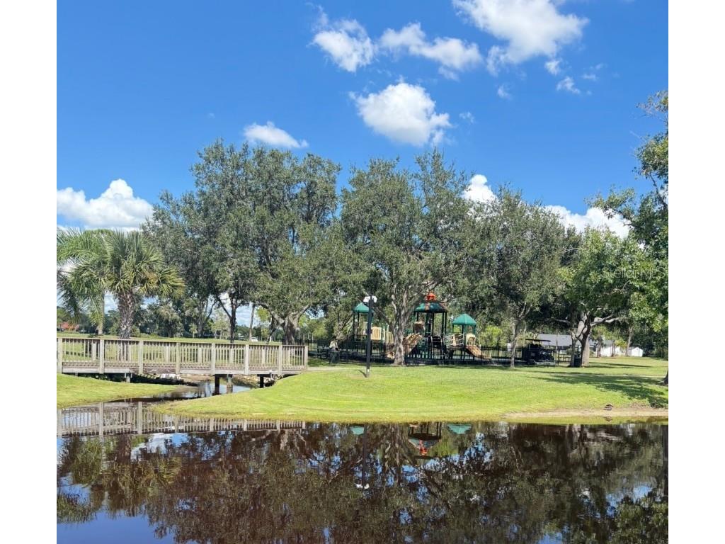 107 Seville Court N Plant City FL 33566 TB8431675 image53