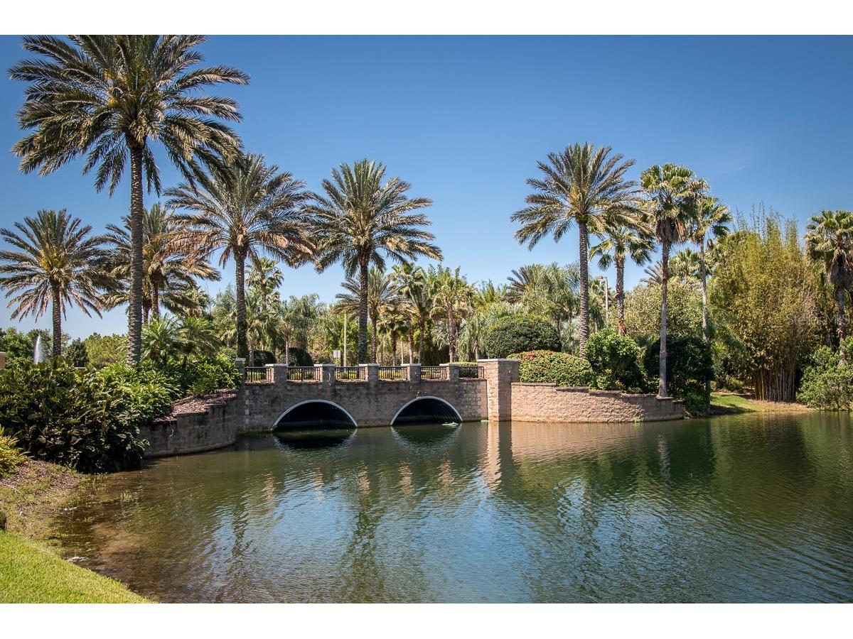 107 Shell Falls Drive Apollo Beach FL 33572 TB8510312 image48