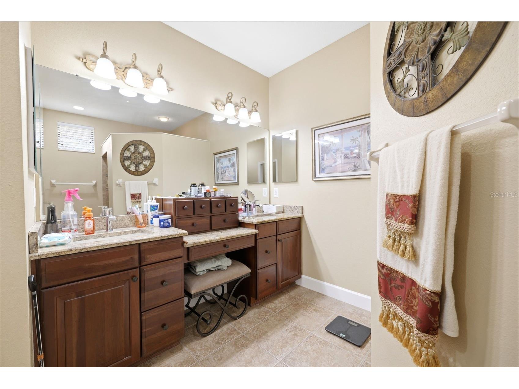 107 Silver Falls Dr Drive Apollo Beach FL 33572 W7885984 image36