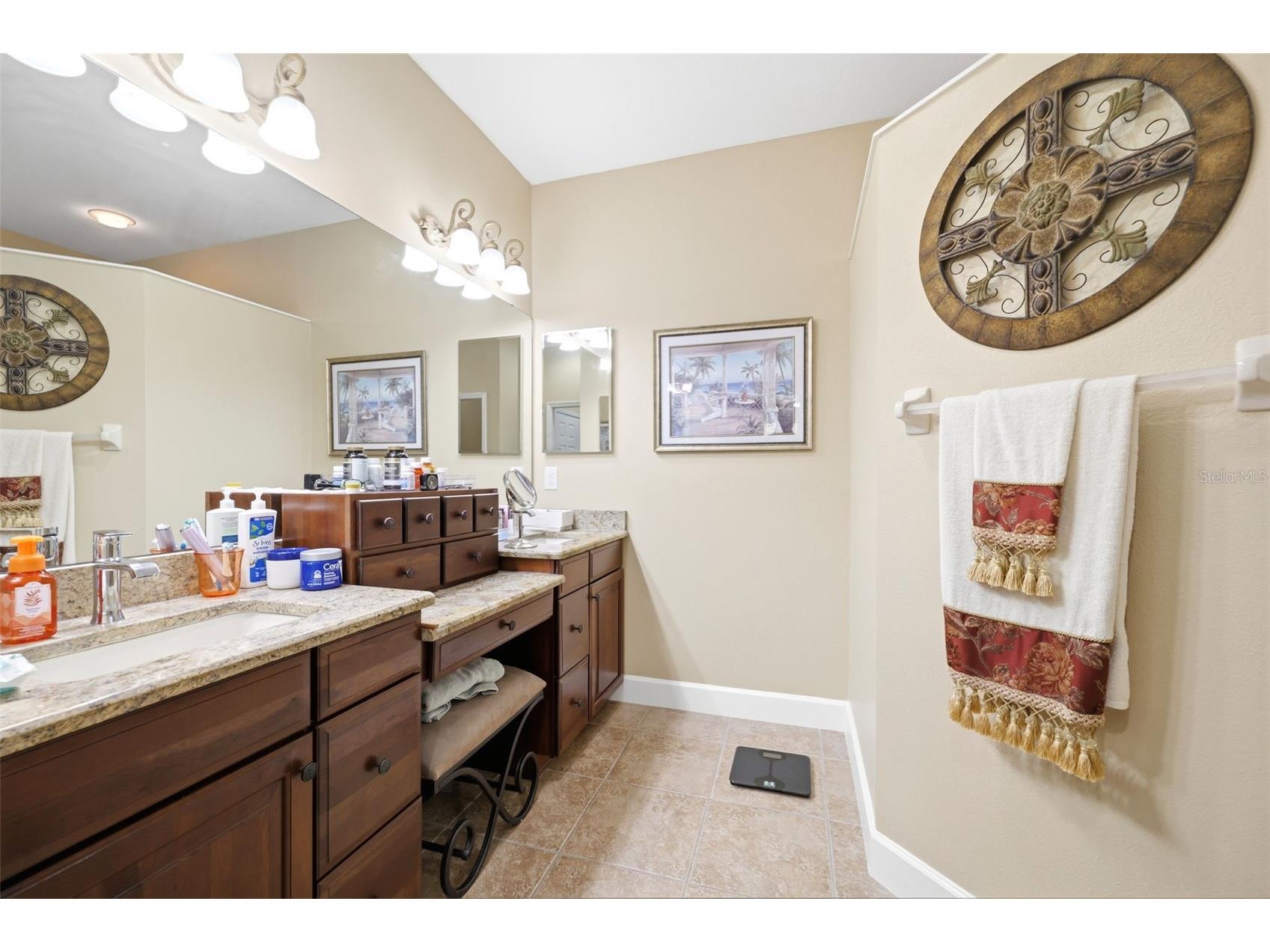 107 Silver Falls Dr Drive Apollo Beach FL 33572 W7885984 image6