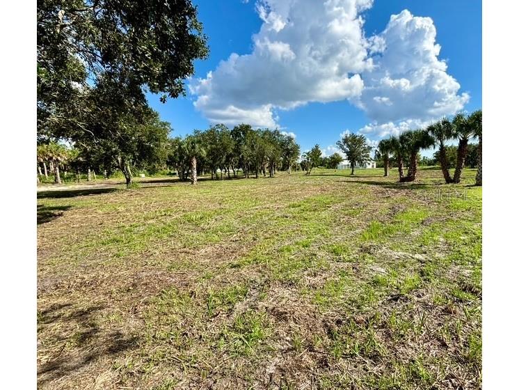 107 Tillett Place Terra Ceia FL 34250 TB8395873 image12