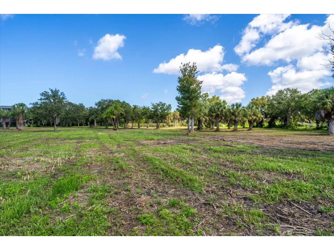 107 Tillett Place Terra Ceia FL 34250 TB8395873 image13