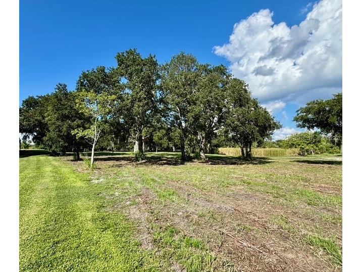 107 Tillett Place Terra Ceia FL 34250 TB8395873 image17