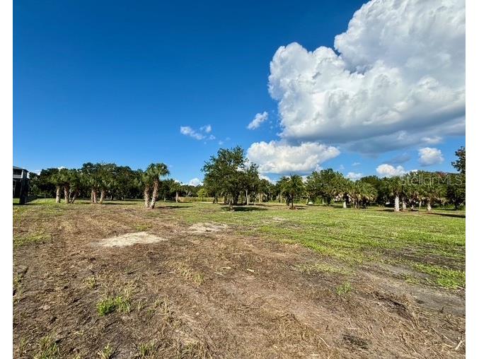 107 Tillett Place Terra Ceia FL 34250 TB8395873 image19