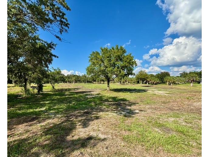 107 Tillett Place Terra Ceia FL 34250 TB8395873 image21