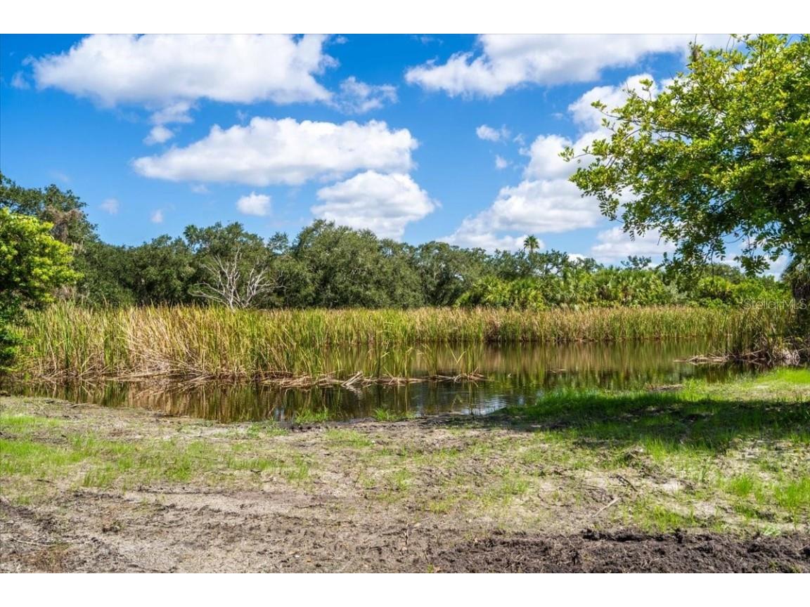 107 Tillett Place Terra Ceia FL 34250 TB8395873 image23