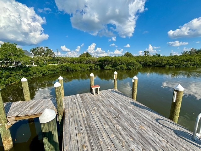 107 Tillett Place Terra Ceia FL 34250 TB8395873 image36