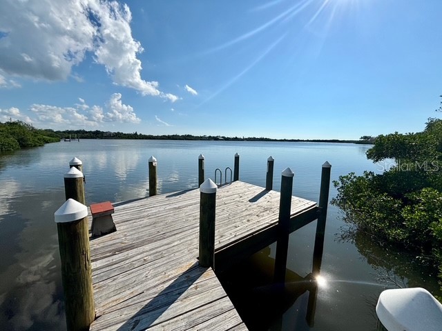 107 Tillett Place Terra Ceia FL 34250 TB8395873 image37