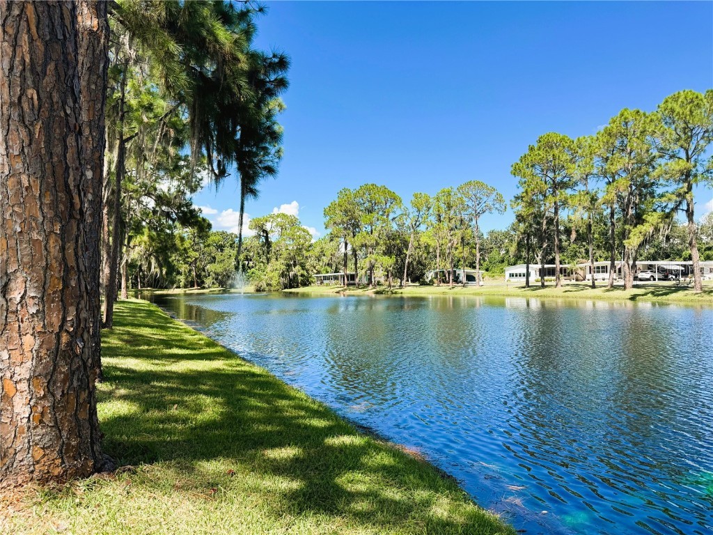 107 Valencia Cove Leesburg FL 34748 R4909961 image12