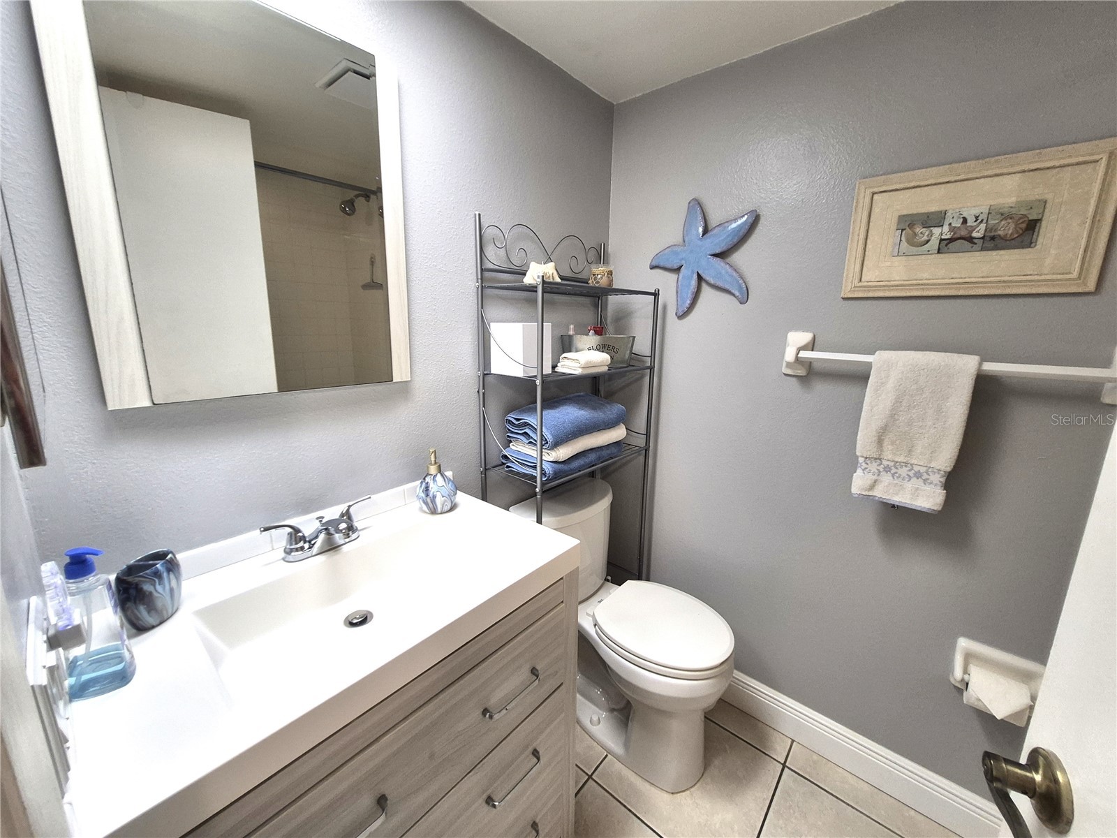 107 Windward Place #107 Oldsmar FL 34677 TB8508465 image29