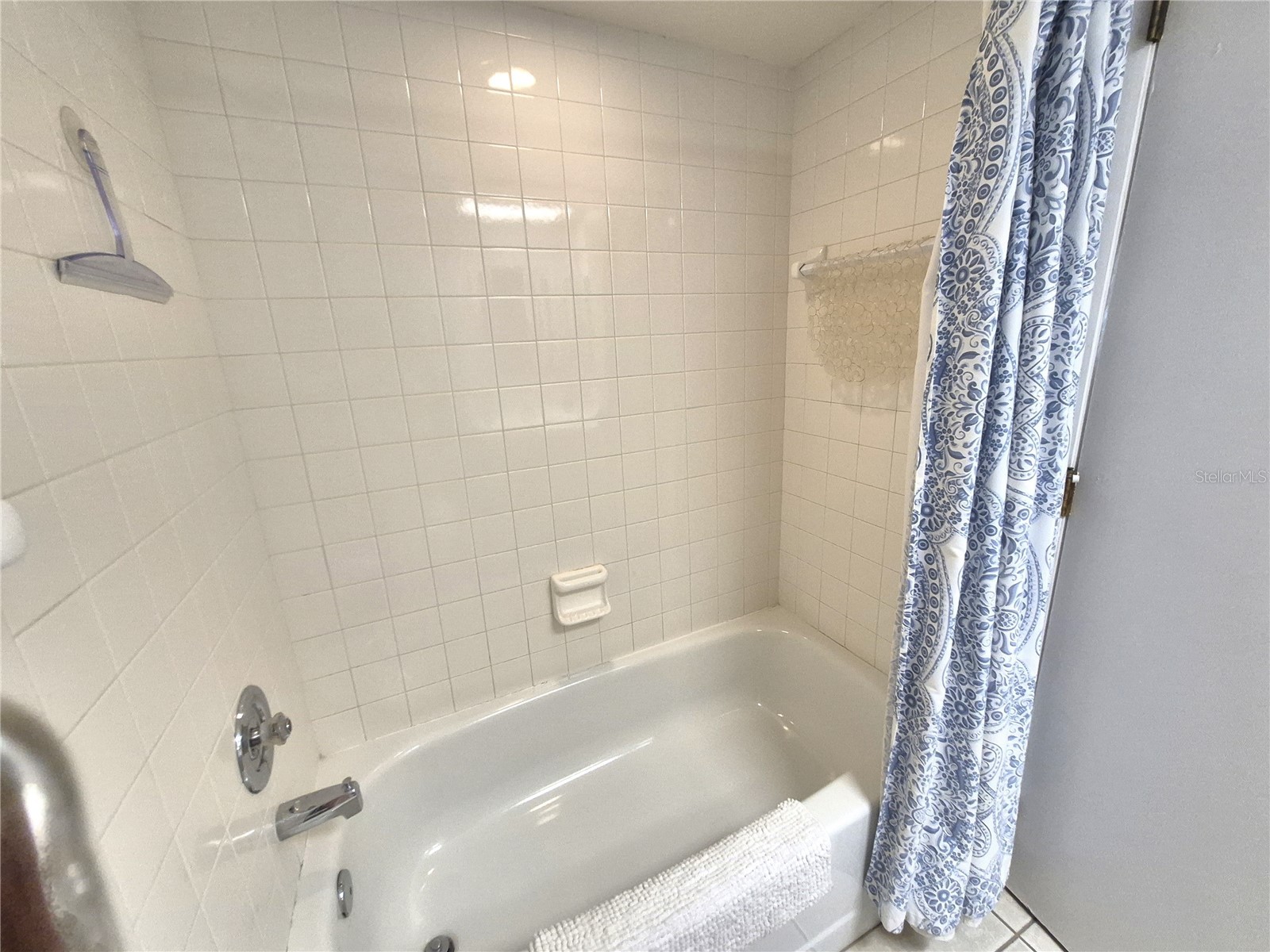107 Windward Place #107 Oldsmar FL 34677 TB8508465 image31
