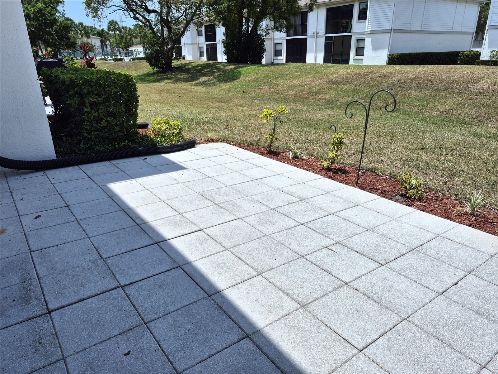 107 Windward Place #107 Oldsmar FL 34677 TB8508465 image33