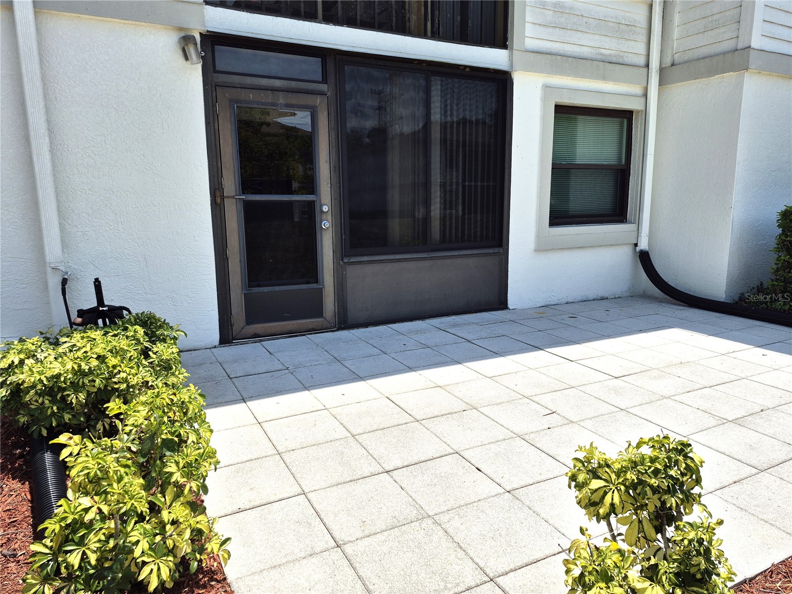 107 Windward Place #107 Oldsmar FL 34677 TB8508465 image34