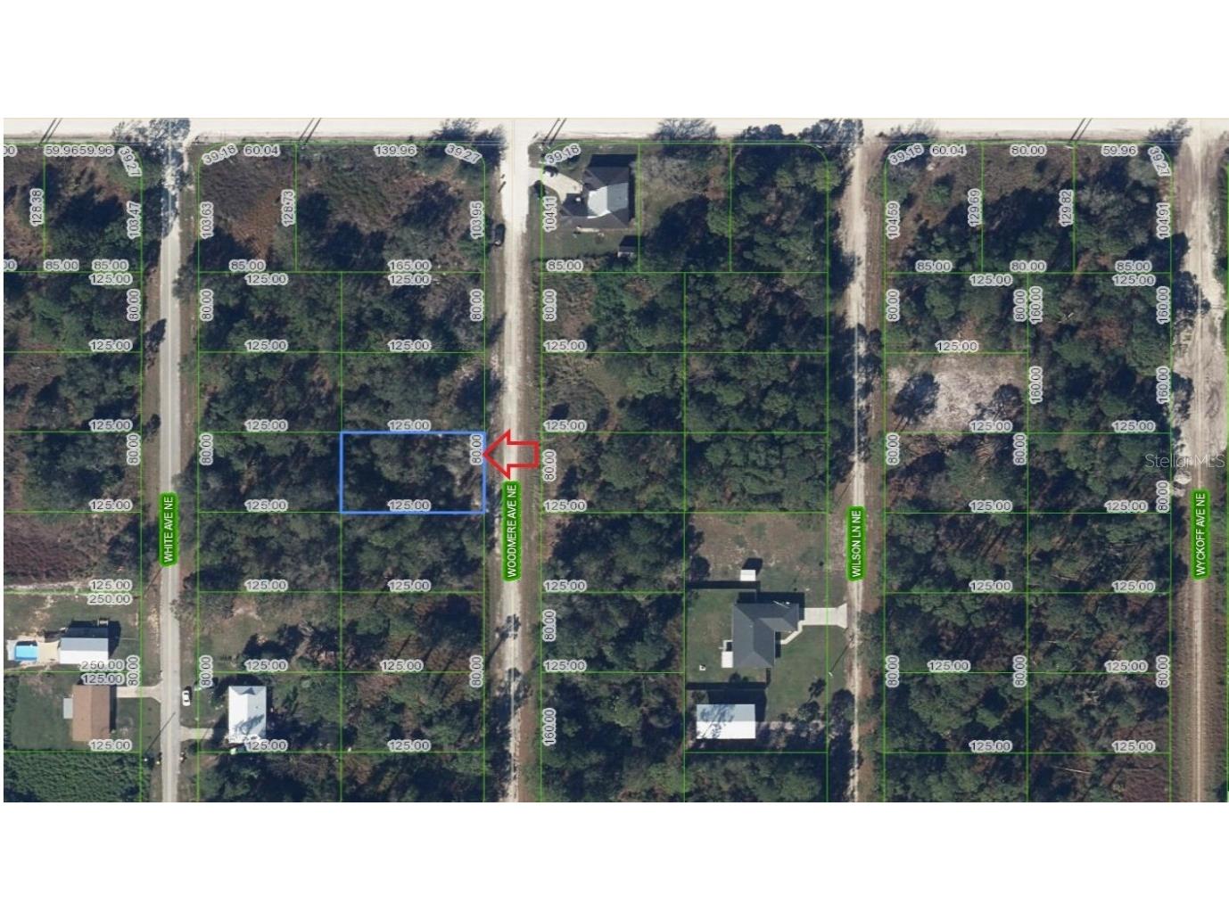 107 Woodmere Avenue NE Lake Placid FL 33852 A4669933 image1