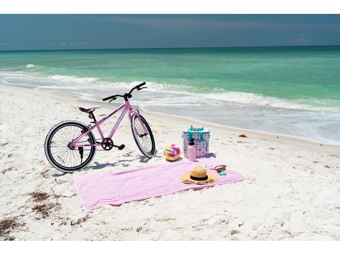 1070 Eldorado Avenue Clearwater Beach FL 33767 TB8383297 image10