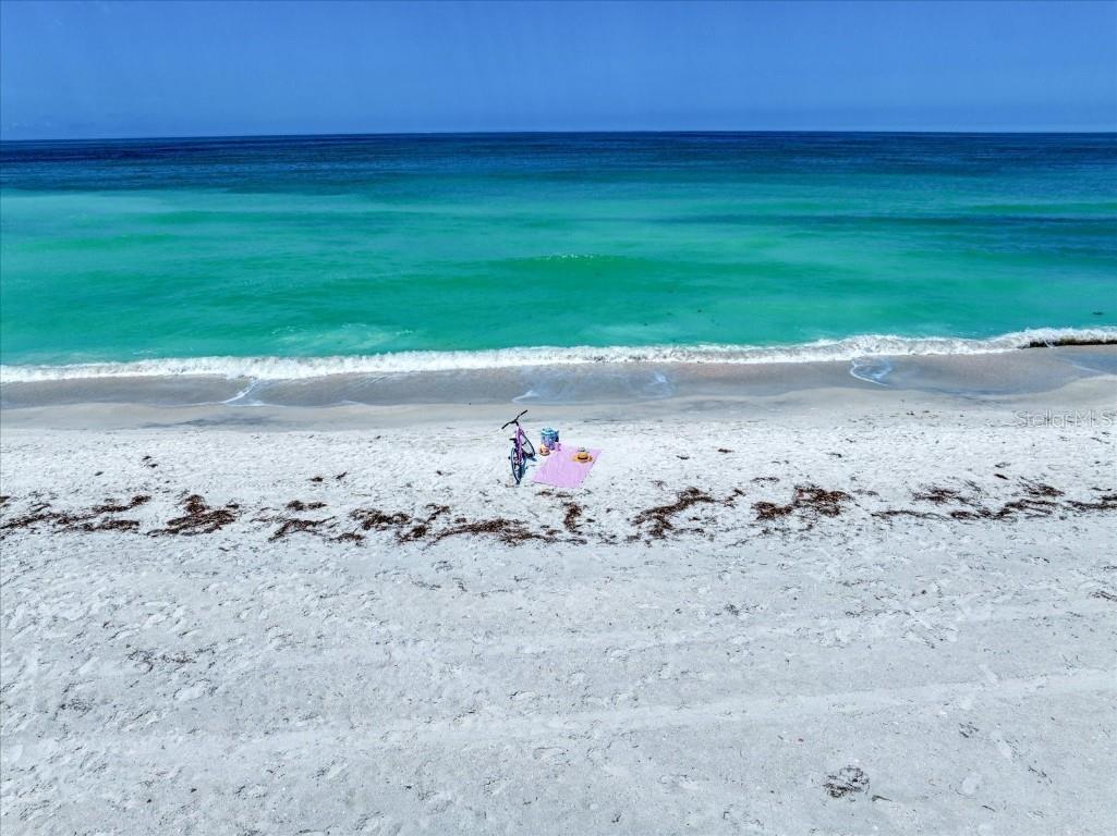 1070 Eldorado Avenue Clearwater Beach FL 33767 TB8383297 image8