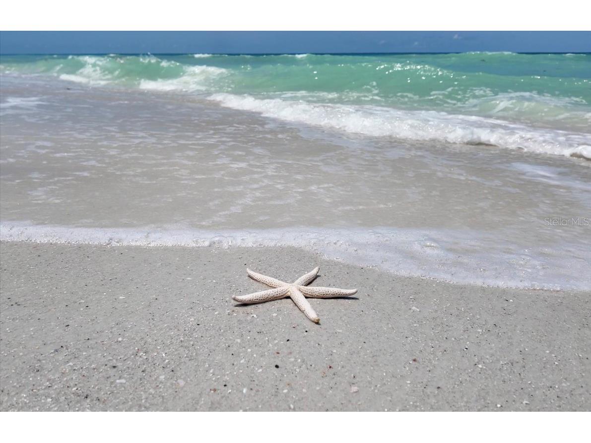 1070 Eldorado Avenue Clearwater Beach FL 33767 TB8391861 image6