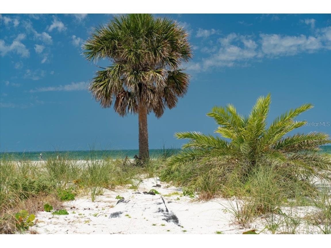 1070 Eldorado Avenue Clearwater Beach FL 33767 TB8391861 image9