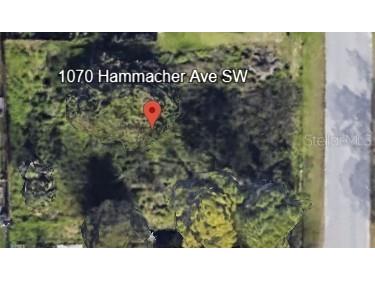1070 Hammacher Avenue SW Palm Bay FL 32908 OM711998 image1