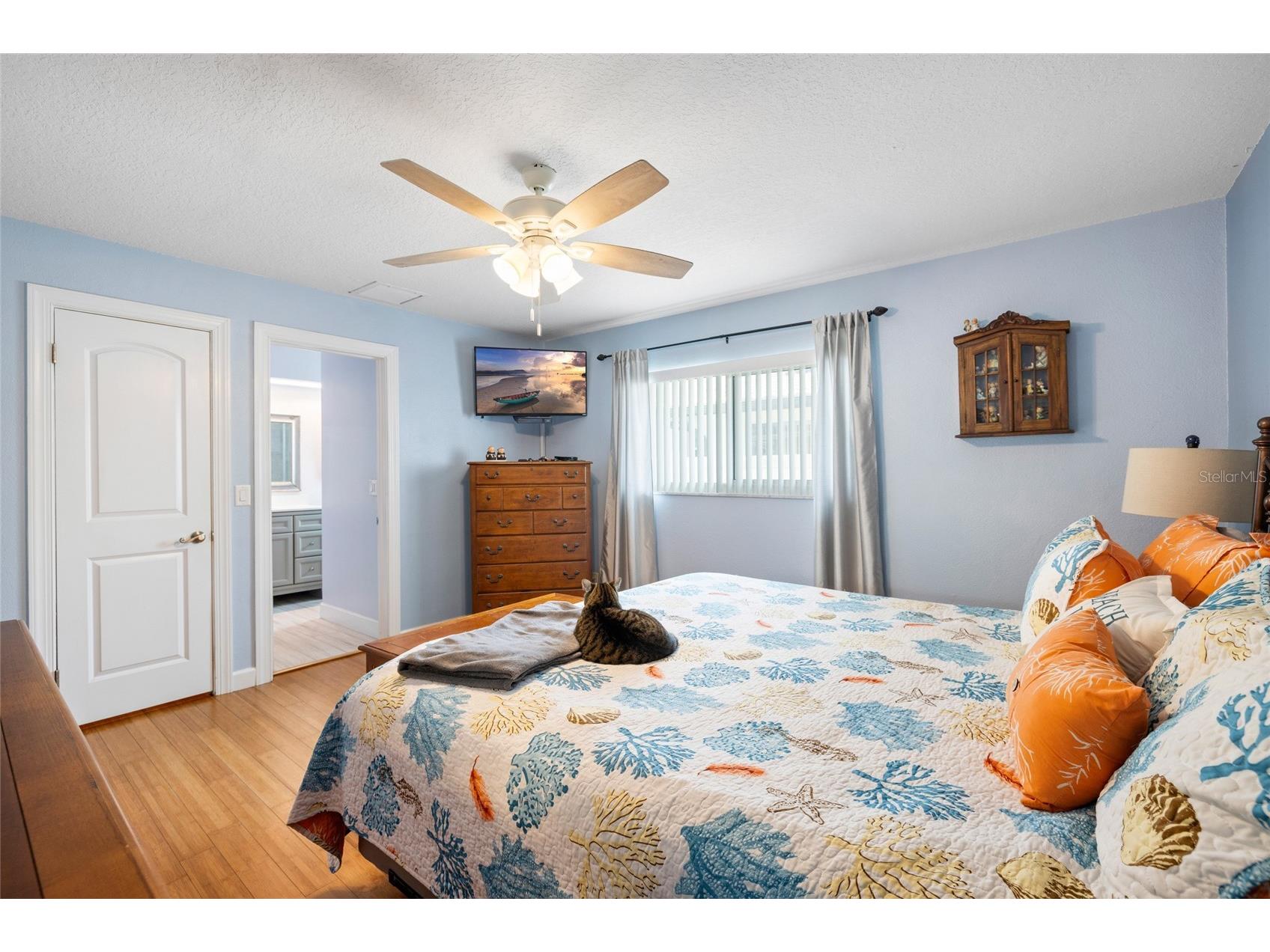 1070 Mccarty Street Dunedin FL 34698 TB8523853 image23