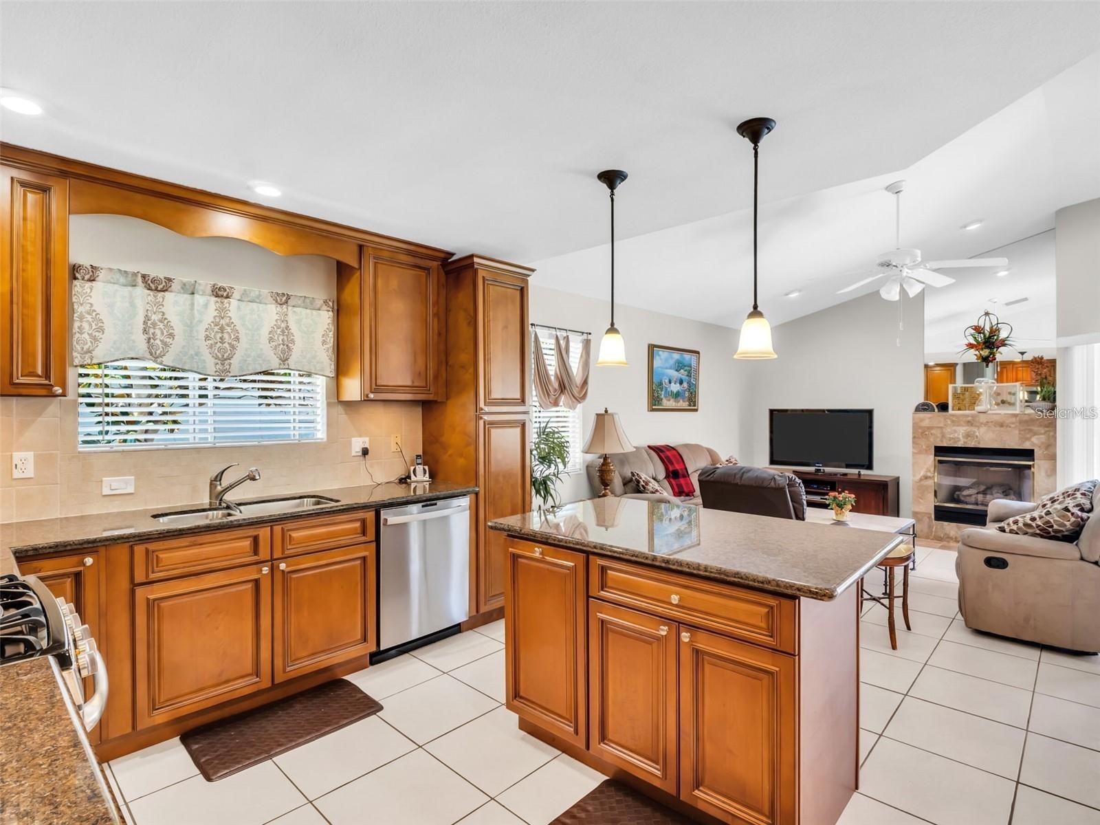 1070 S Pointe Alexis Drive Tarpon Springs FL 34689 - LAKE AVOCA & GULF TB8463362 image3