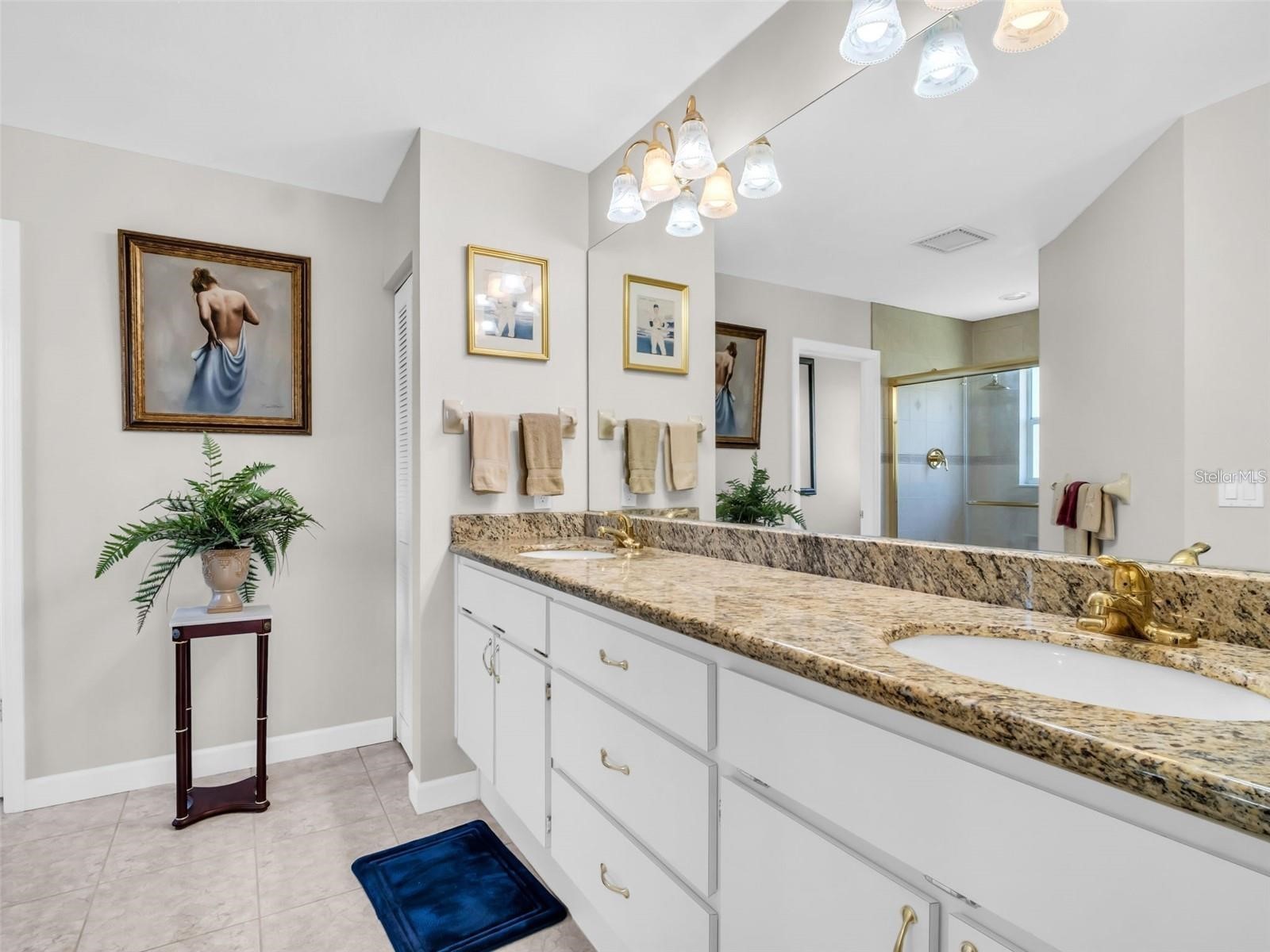 1070 S Pointe Alexis Drive Tarpon Springs FL 34689 - LAKE AVOCA & GULF TB8463362 image7