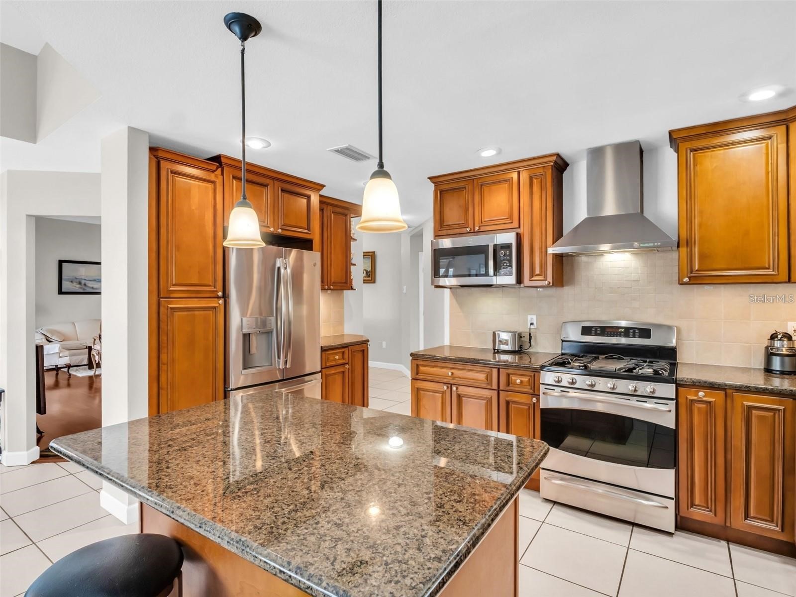 1070 S Pointe Alexis Drive Tarpon Springs FL 34689 - LAKE AVOCA & GULF TB8463362 image8