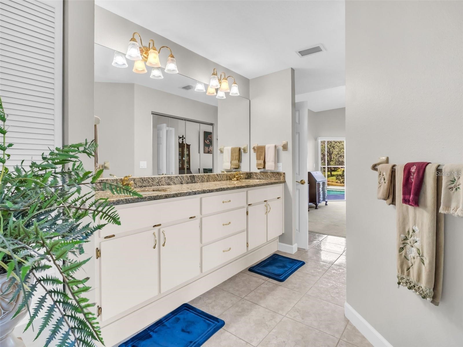 1070 S Pointe Alexis Drive Tarpon Springs FL 34689 - LAKE AVOCA & GULF TB8463362 image9