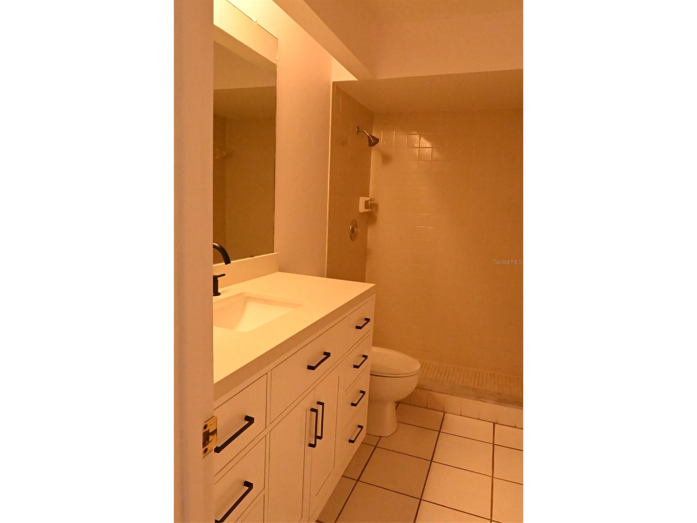 10700 41st Court N Clearwater FL 33762 TB8442017 image10