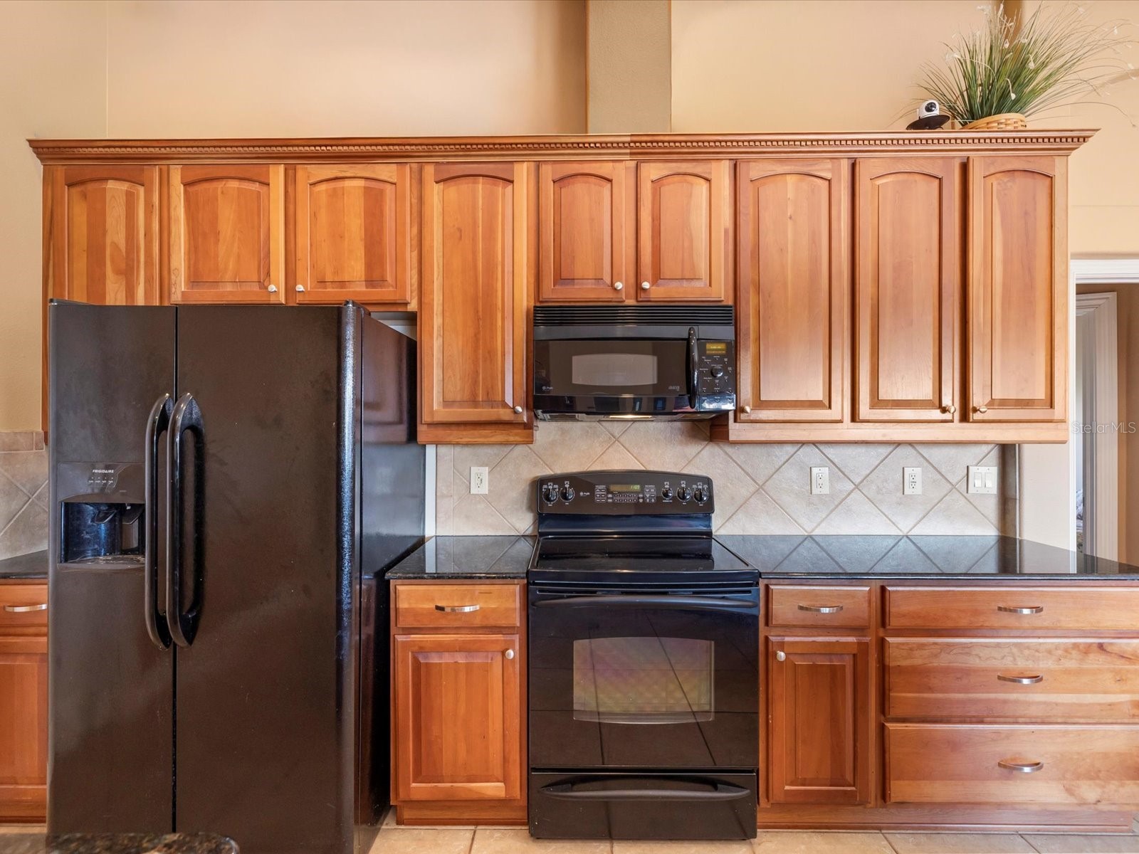 10700 Garda Drive Trinity FL 34655 W7879251 image14