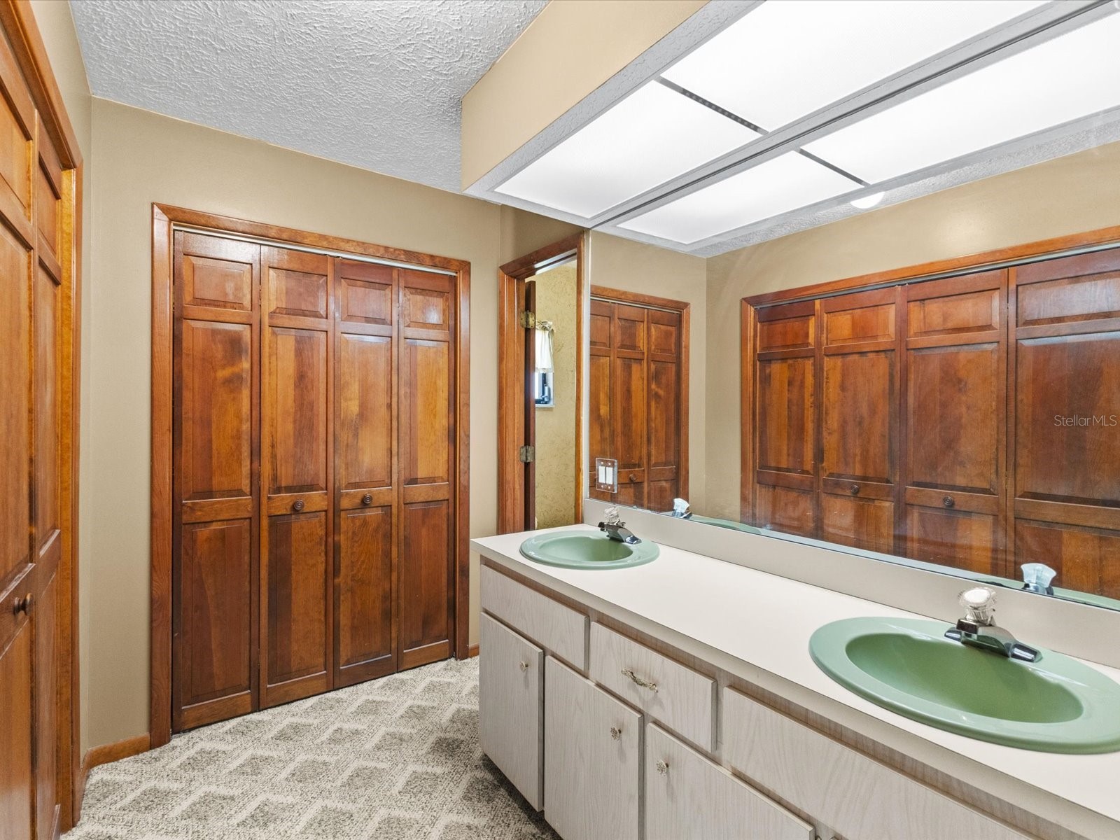 10700 Luscombe Court New Port Richey FL 34654 W7884563 image23