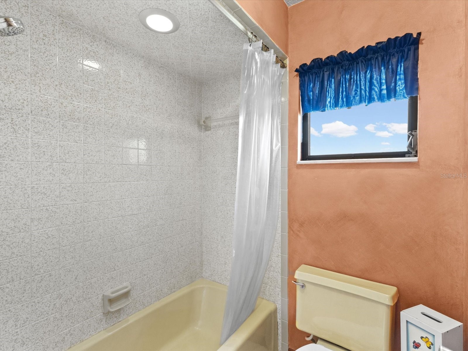 10700 Luscombe Court New Port Richey FL 34654 W7884563 image30