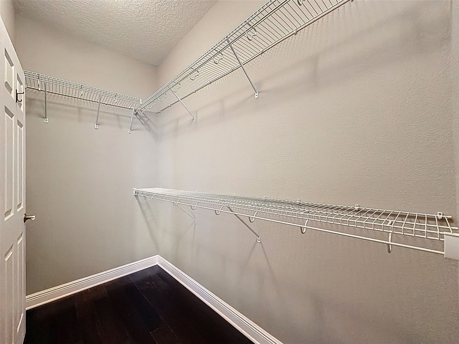 10701 Laurel Vista Way Tampa FL 33647 TB8516796 image43
