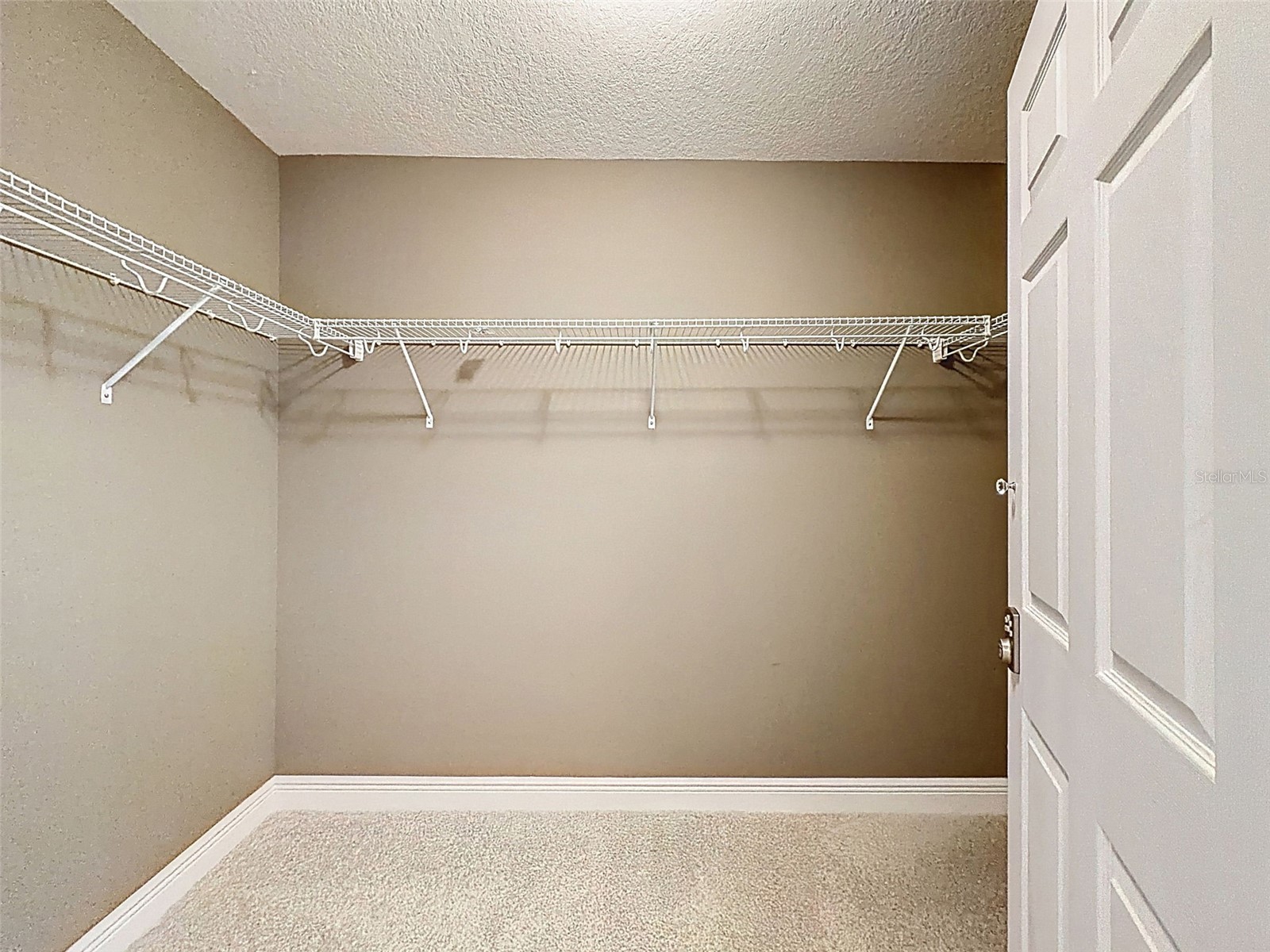 10701 Laurel Vista Way Tampa FL 33647 TB8516796 image72