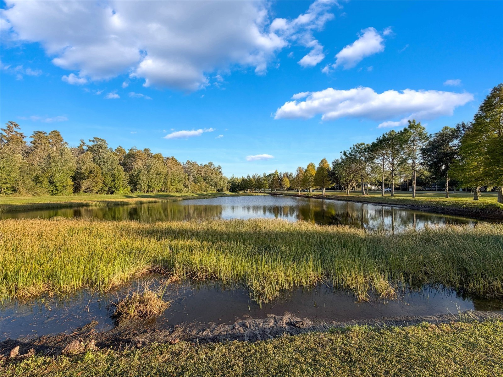 10701 Laurel Vista Way Tampa FL 33647 TB8516796 image9