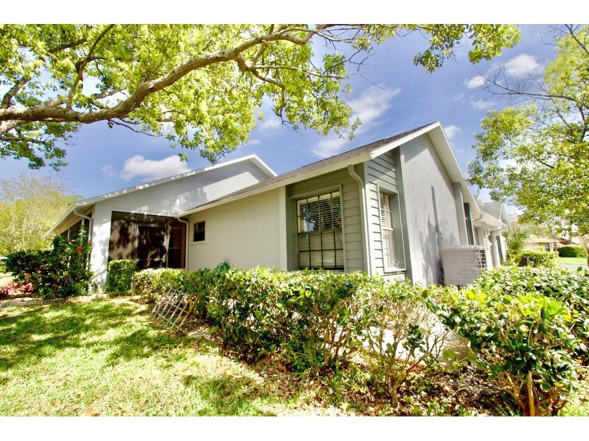 10701 Millriver Drive New Port Richey FL 34654 W7863384 image1