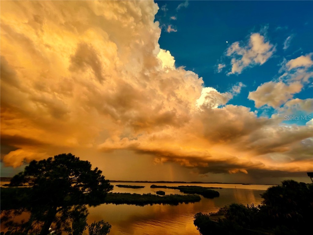 10701 Pine Island Drive Weeki Wachee FL 34607 TB8403107 image12