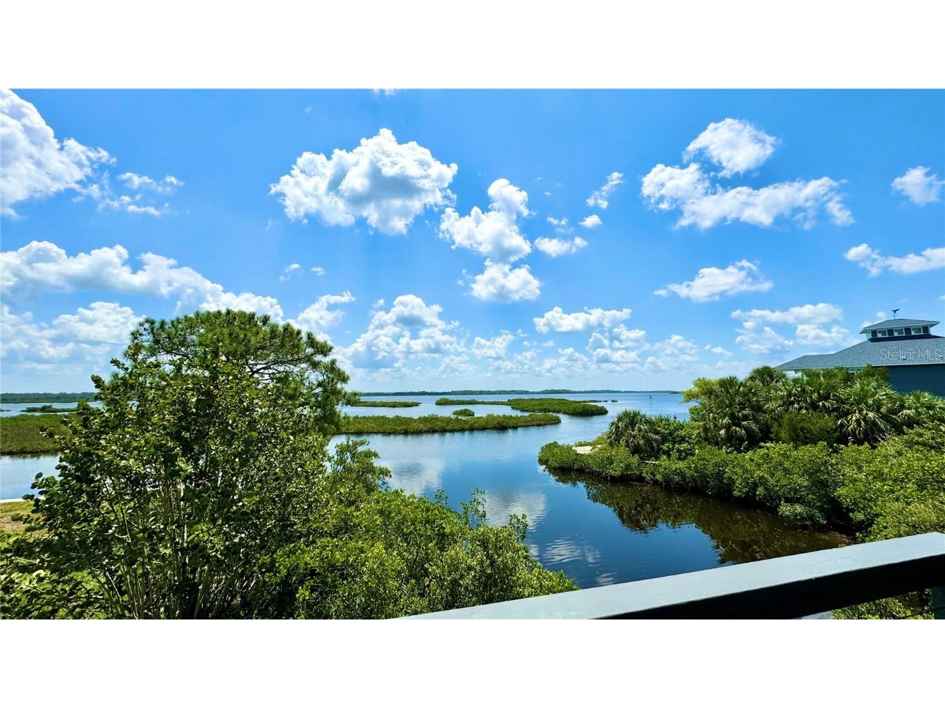 10701 Pine Island Drive Weeki Wachee FL 34607 TB8403107 image7